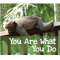 You-Are-What-You-Do