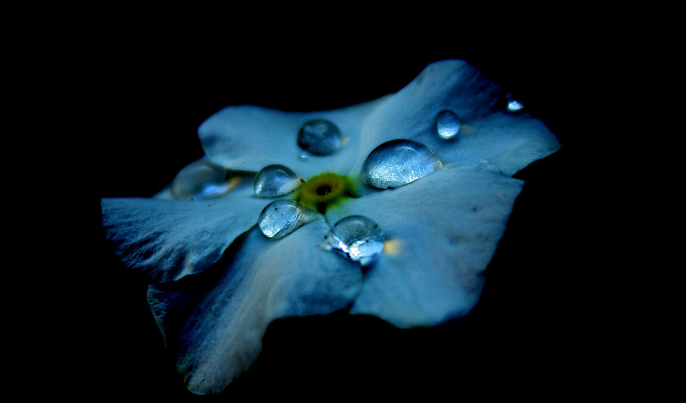 miguel-mateo-212333 comp